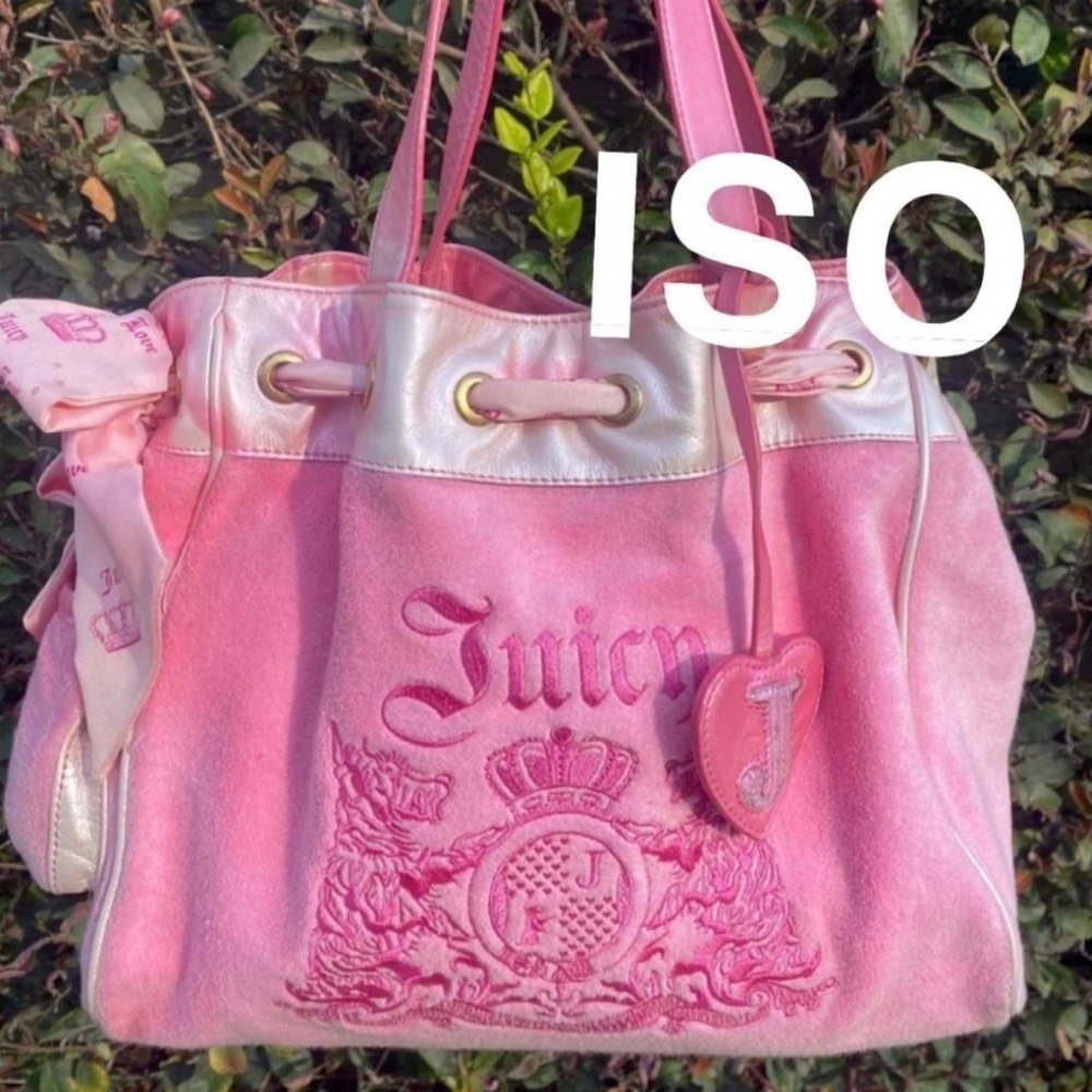 Looking for - Juicy Couture purse bag handbag satchel tote vintage ISO *READ 🍇